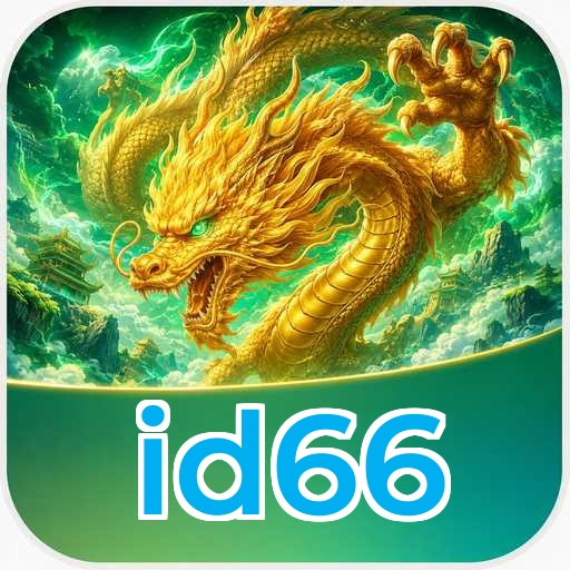 Security Audit - id66 Comprehensive Analysis